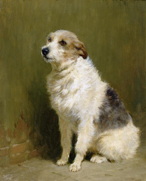 Portrait of Pilu, a Performing Dog, 1910