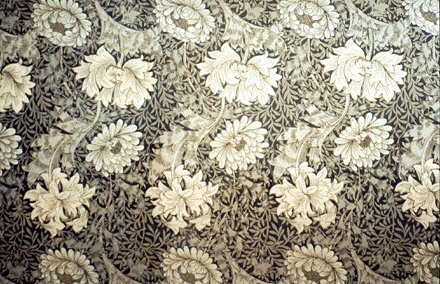 Chrysanthemum