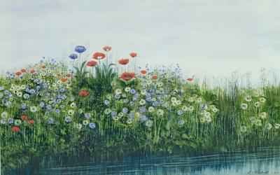 Poppies by a Stream