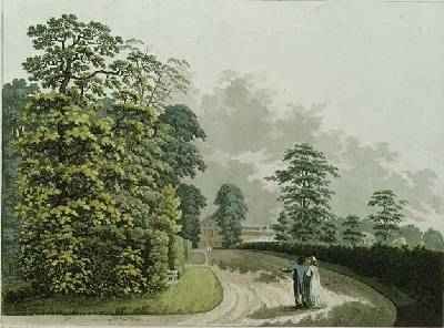 A Side View of the Palace in Kensington Gardens