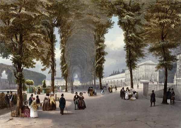 View of Paris le Jardin des Plantes
