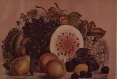 Autumn Fruit