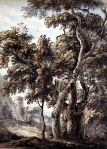 Study of Trees