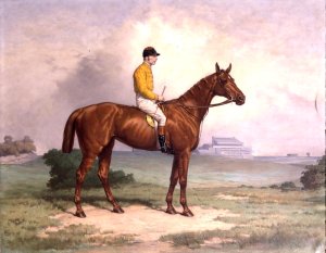 Shotover, 1883