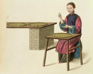 A Woman Preparing Tea