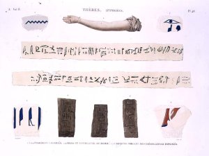 Illustrations of Hieroglyphics and the arm of a mummy from Hypogees