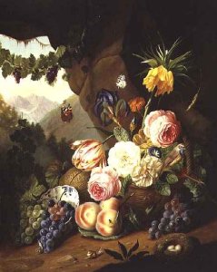 Still Life