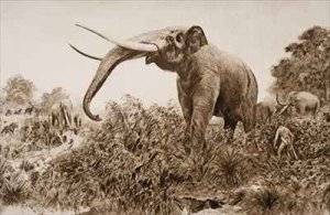 The Chatham Elephant